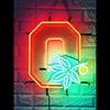 Desung Ohio State Buckeyes (Sports - Football) vivid neon sign, front view, turned on