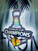 2010 Stanley Cup Champions Chicago Blackhawks 3D LED Neon Sign Light Lamp