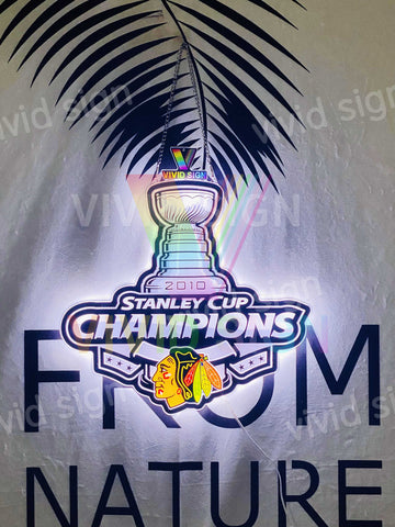 2010 Stanley Cup Champions Chicago Blackhawks 3D LED Neon Sign Light Lamp