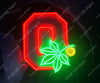 Ohio State Buckeyes LED Neon Sign Light Lamp WIth Dimmer