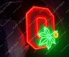 Ohio State Buckeyes LED Neon Sign Light Lamp WIth Dimmer