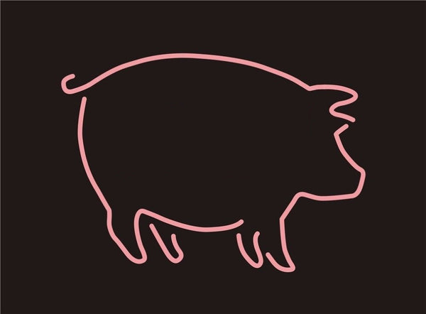 Big Pig Neon Light Sign Lamp Real Glass Wall Decor