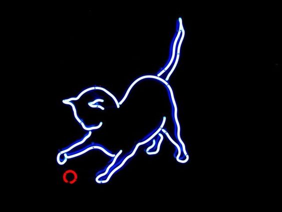 Cat Play Blue Neon Light Sign Lamp Real Glass Wall Decor Gift