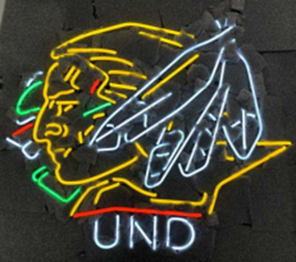 North Dakota Fighting Sioux Hawks UND Neon Sign Light Lamp