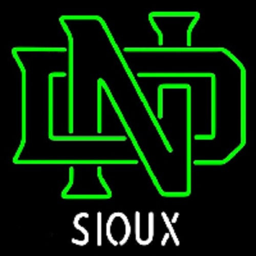 North Dakota Fighting Hawks Sioux Neon Sign Light Lamp