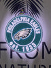 Philadelphia Eagles EST 1933 3D LED Neon Sign Light Lamp