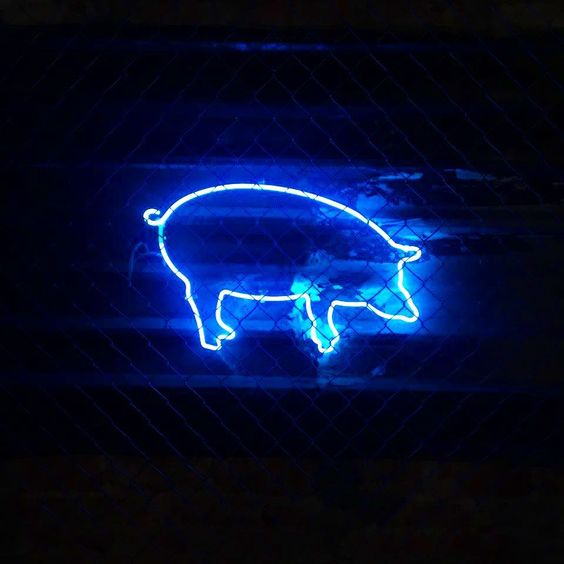 Cute Blue Pig Neon Light Sign Lamp Real Glass Wall Decor