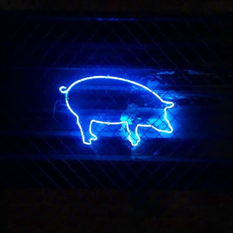 Cute Blue Pig Neon Light Sign Lamp Real Glass Wall Decor