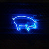 Cute Blue Pig Neon Light Sign Lamp Real Glass Wall Decor