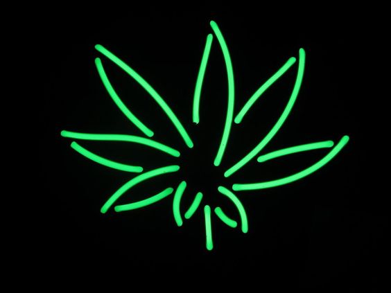 Pot leaf Marijuana Weed Neon Light Sign Lamp Real Glass Wall Decor