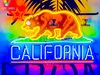 California Star Bear HD Vivid Neon Sign Lamp Light