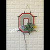 Desung Ohio State Buckeyes (Sports - Football) vivid neon sign, front view, turned off
